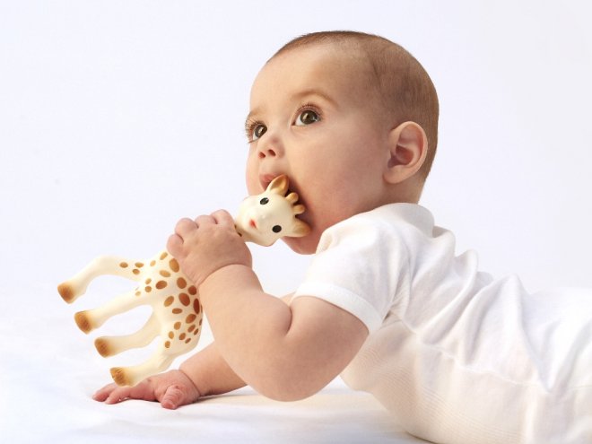 Разница между молочными и постоянными зубами