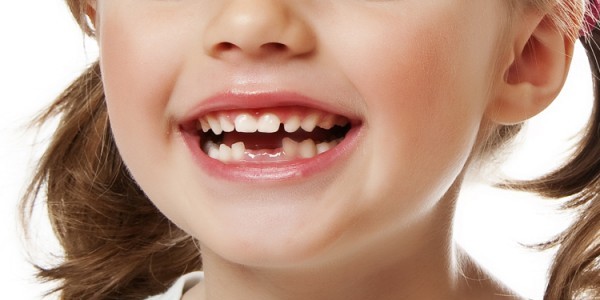 Какие функции выполняют коренные зубы?